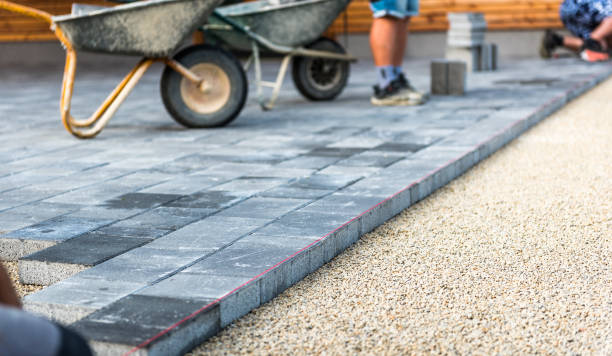 Best Local Driveway Pavers  in Forest View, IL