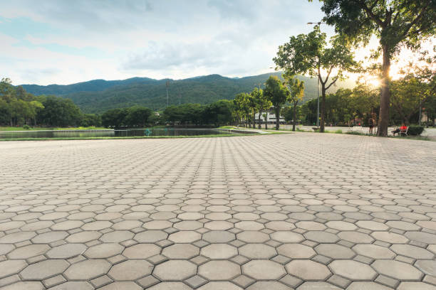 Best Decorative Driveway Pavers  in Forest View, IL