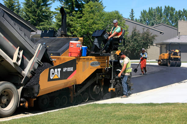 Best Interlocking Driveway Pavers  in Forest View, IL